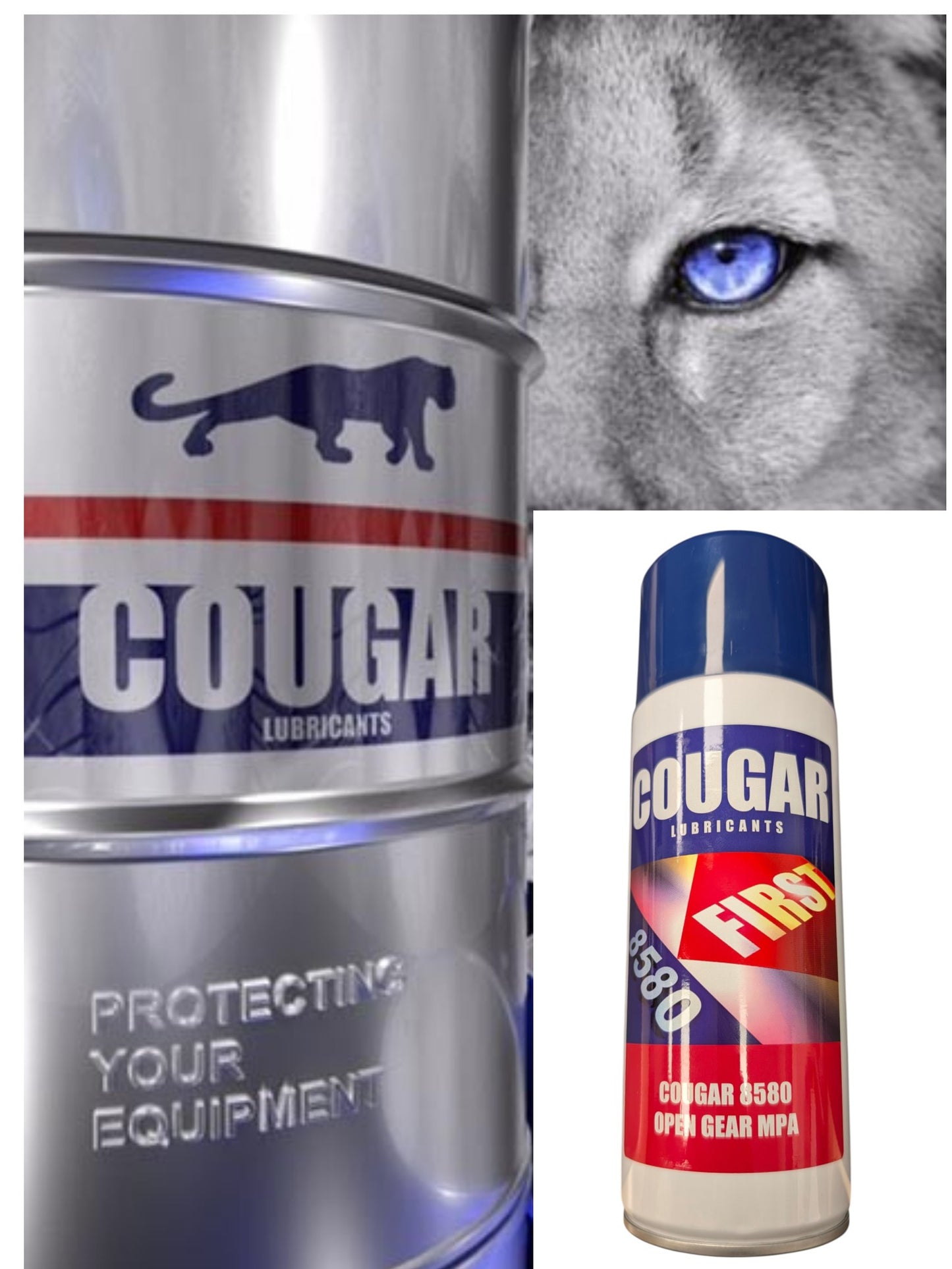 Grease Spray 8580